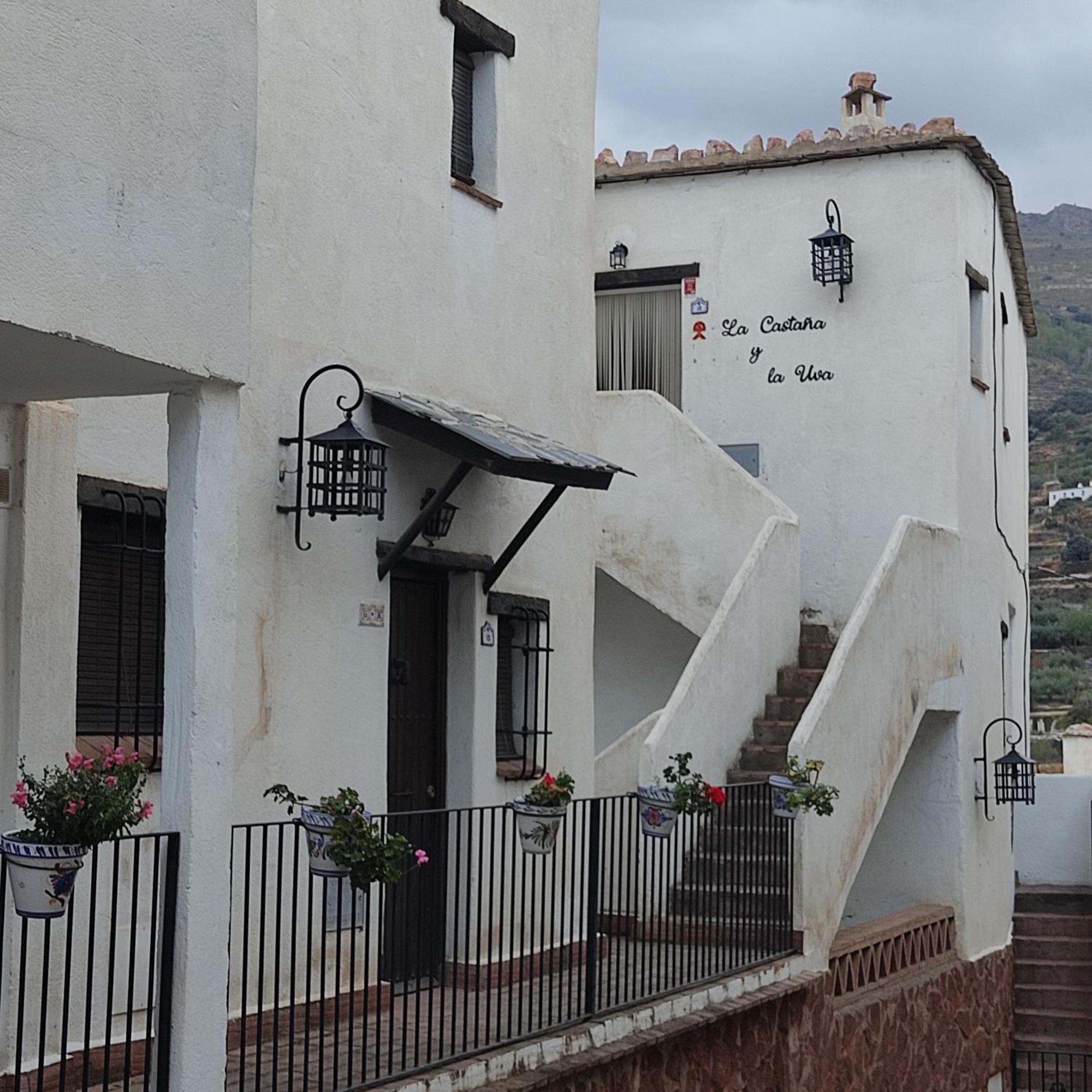 La Castana Y La Uva Apartment Ohanes Luaran gambar